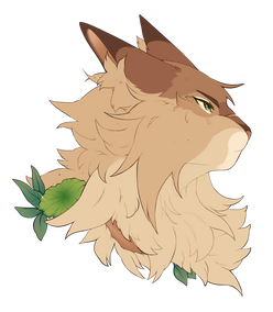 head